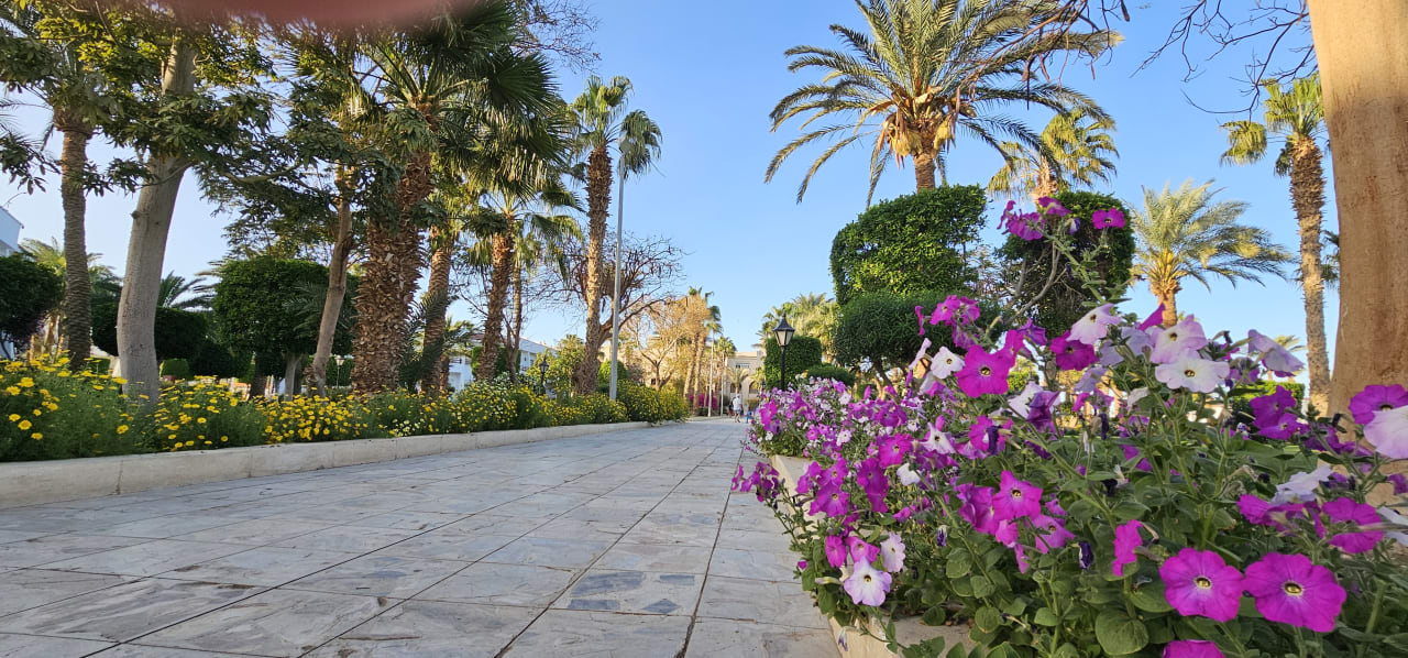 Gartenanlage The Grand Palace - Adults only