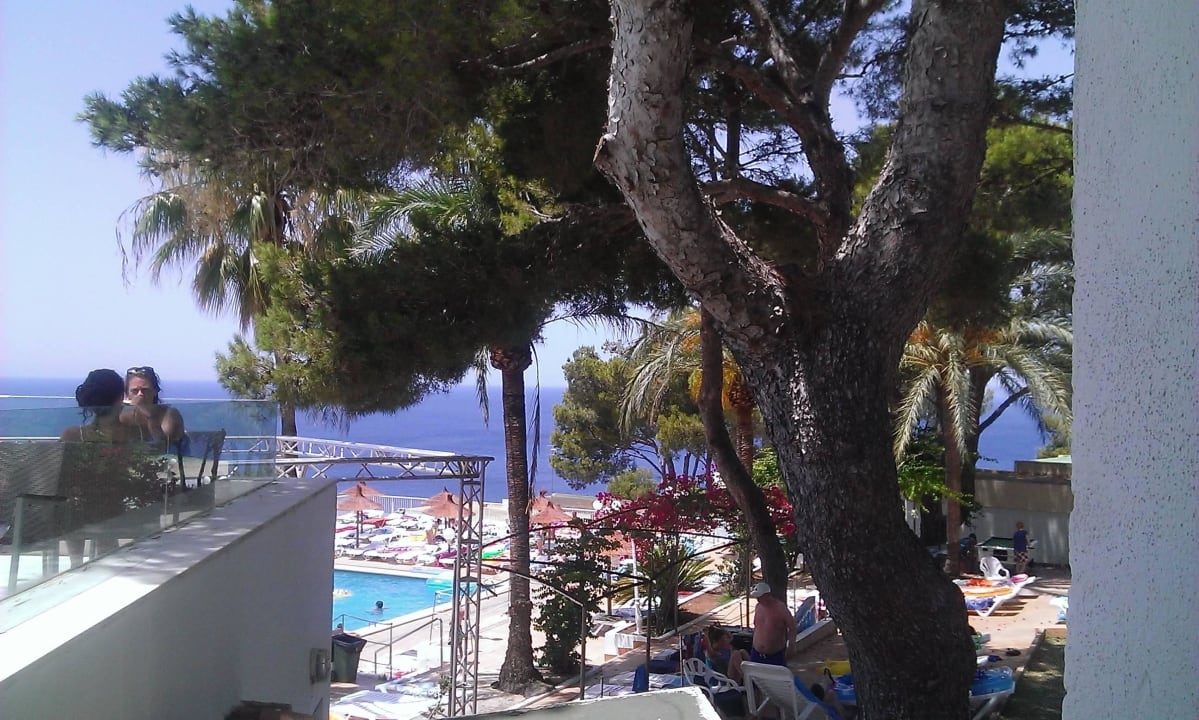 View from entertainment bar, to the sea and a pool Sun Club Eldorado