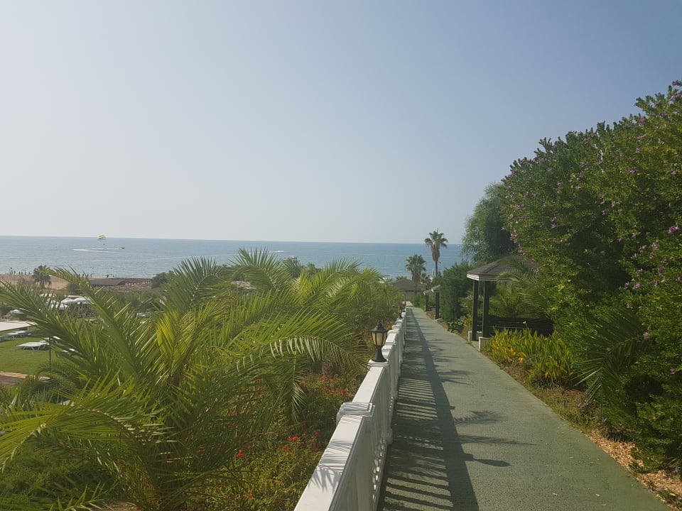 Gartenanlage Royal Atlantis Spa & Resort