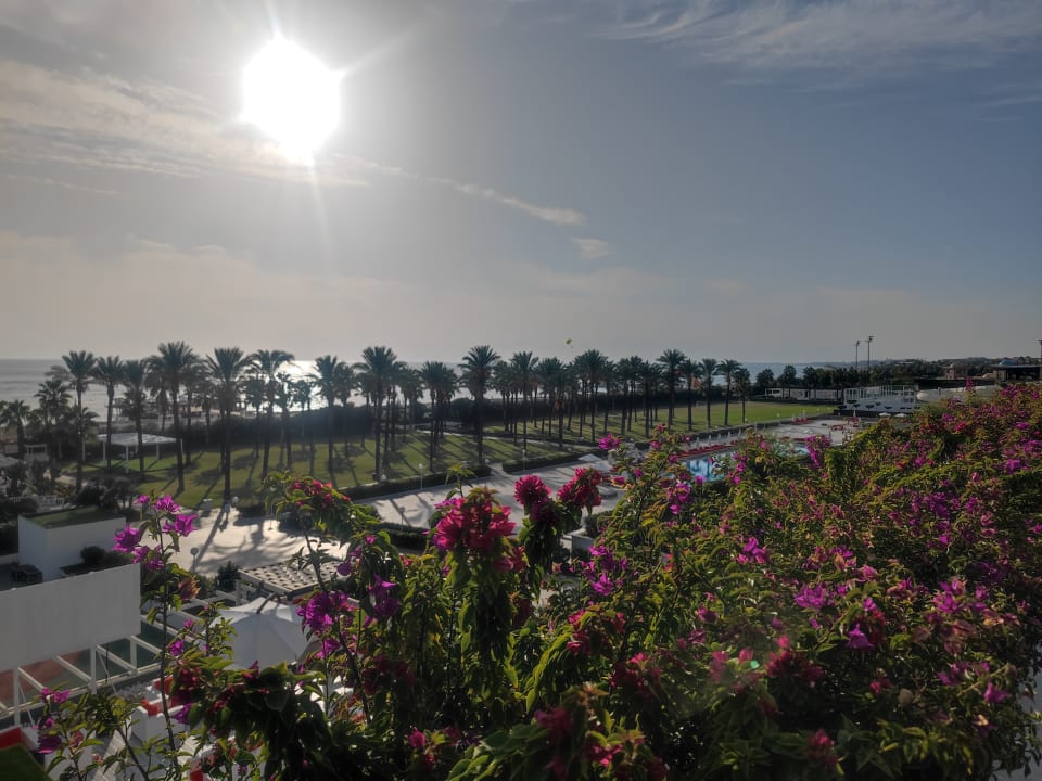 Ausblick Adam & Eve - Adults only