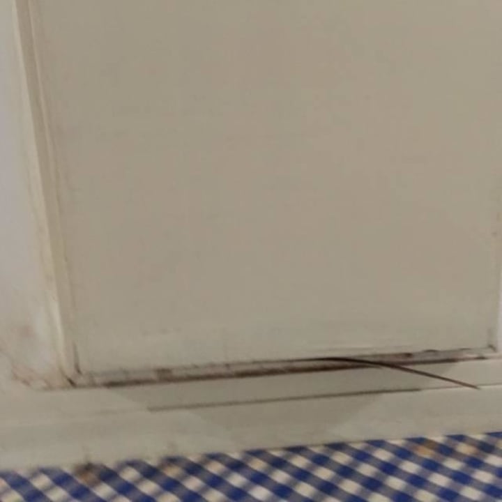 Schimmel Hotel H10 Lanzarote Princess