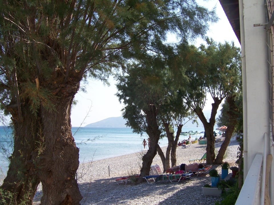 Bäume am Strand Akrogiali Potokaki Samos