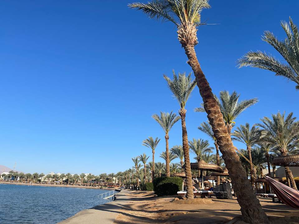 Strand Palm Royale Resort - Soma Bay