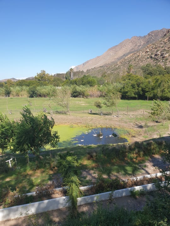 Gartenanlage Guesthouse Kogman & Keisie