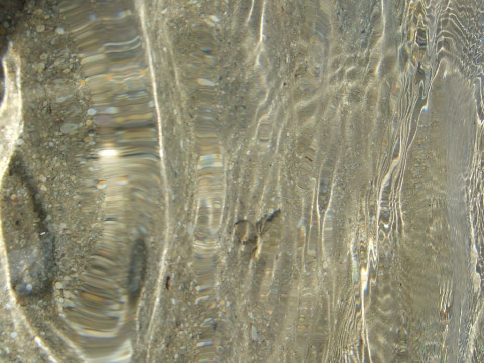 Fish in the sea Titanic Beach Spa & Aqua Park