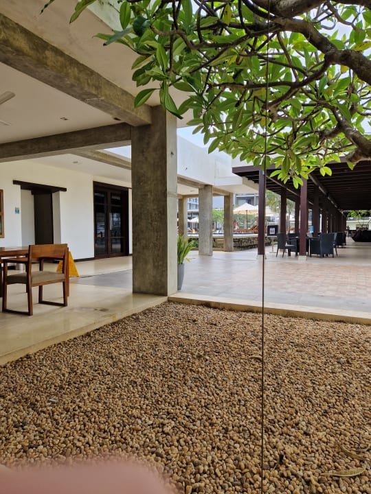 Außenansicht Goldi Sands Hotel