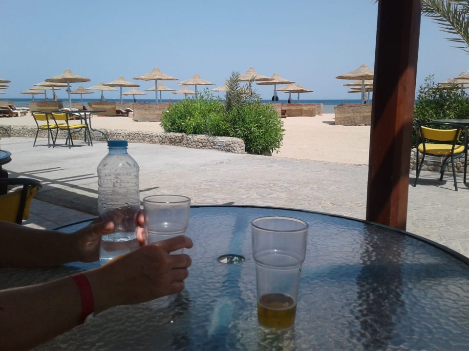 Gastro Imperial Shams Abu Soma