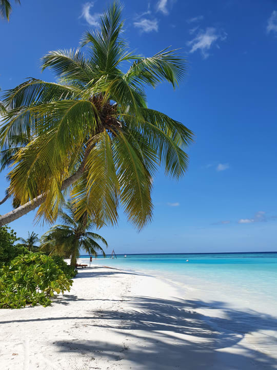 Strand Sun Siyam Vilu Reef