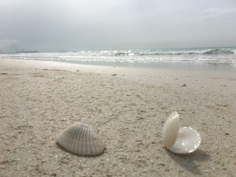 Strand Jumeirah at Saadiyat Island Resort