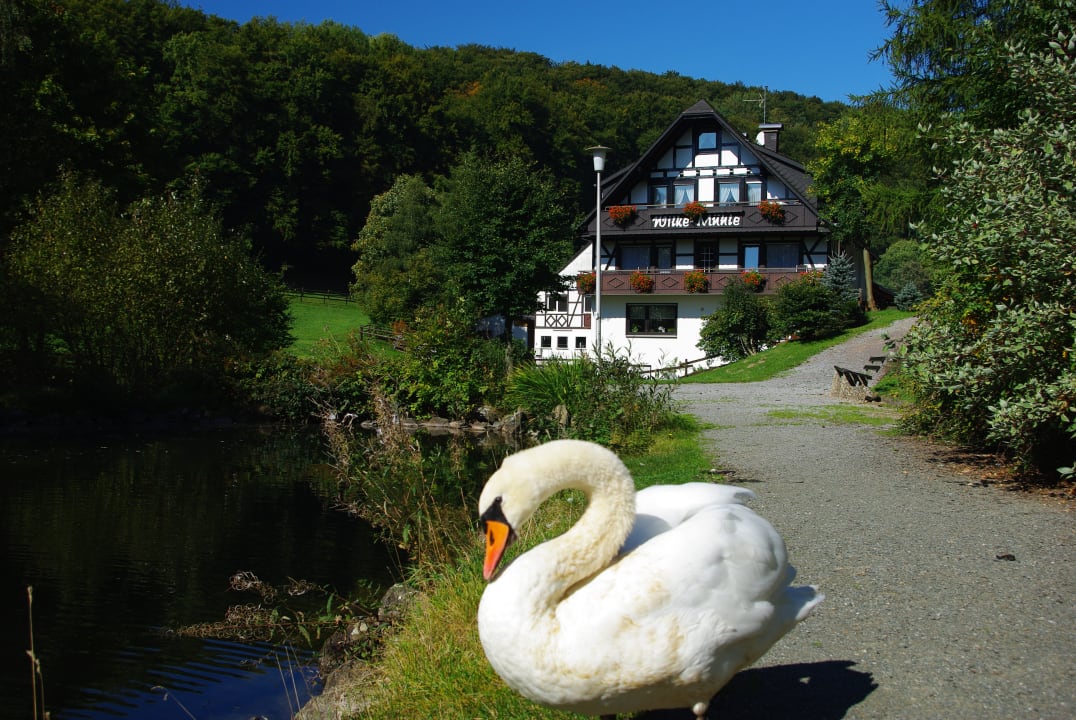 Gartenanlage Pension Wilke-Mühle