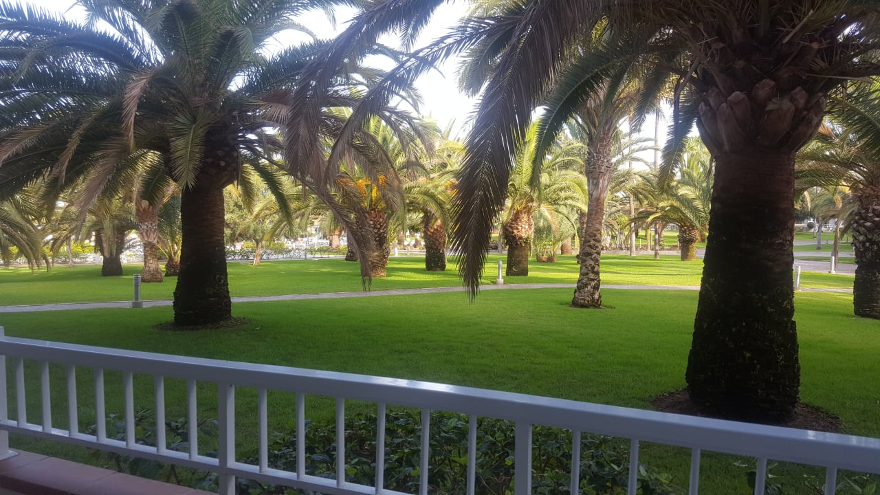 Gartenanlage Hotel Riu Gran Canaria