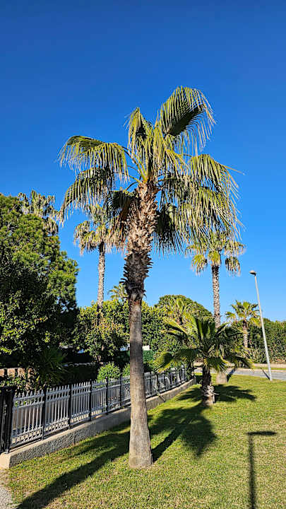 Ausblick Bella Resort & Spa