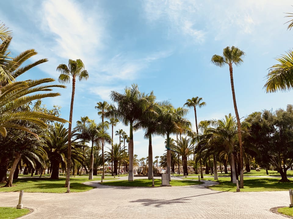 Gartenanlage Hotel Riu Gran Canaria