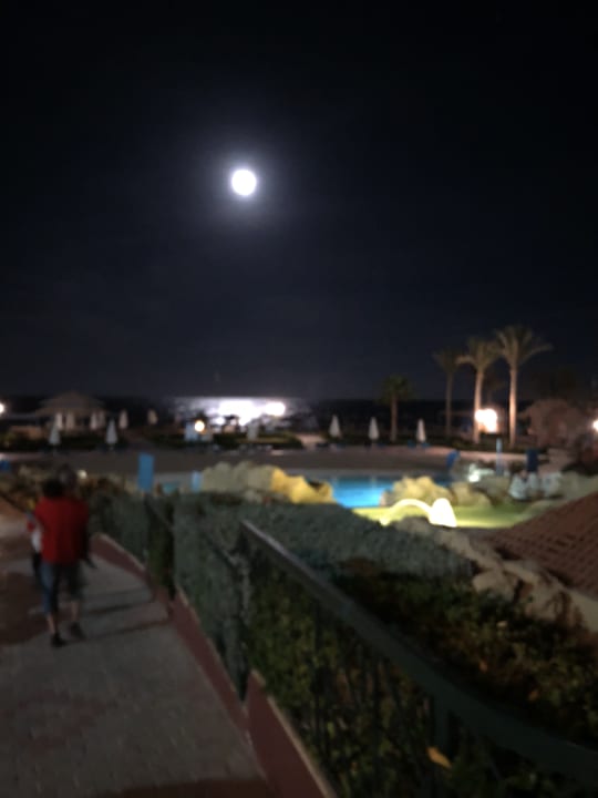 Pool Akassia Swiss Resort