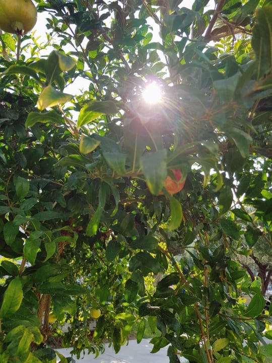 Gartenanlage TUI KIDS CLUB Alex Beach