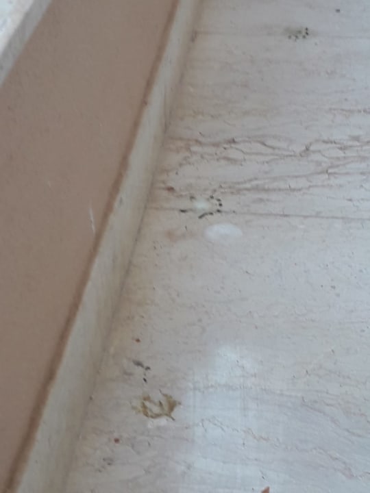 Zimmer Continental Hotel Hurghada