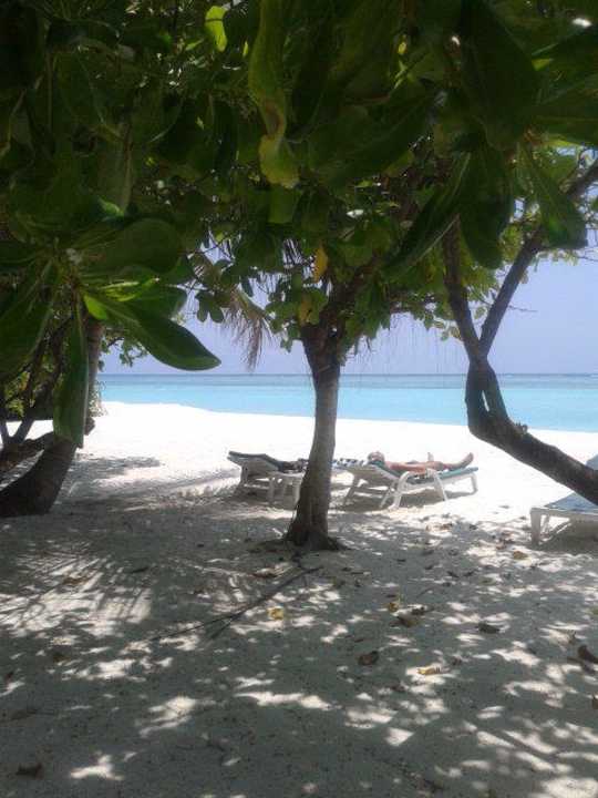 Einfach abschalten  Meeru Maldives Resort Island