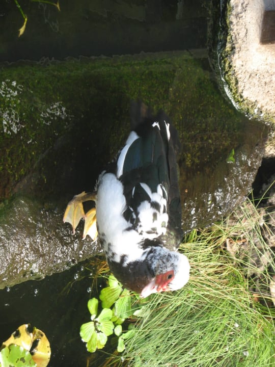 Garten Park Club Europe