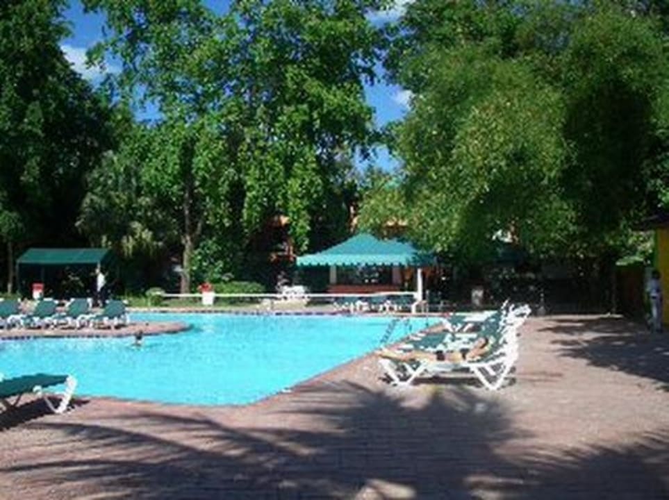 Pool whala!boca chica