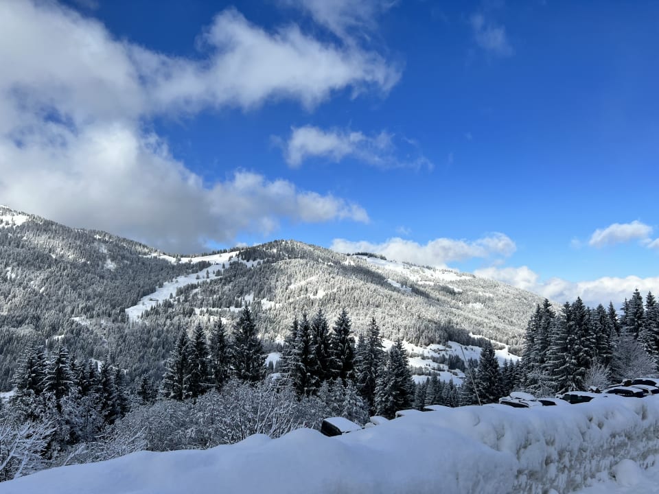Ausblick Familotel Allgäuer Berghof
