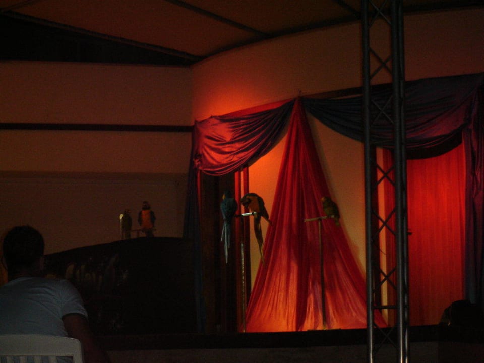 Show abends Aparthotel Playa Dorada