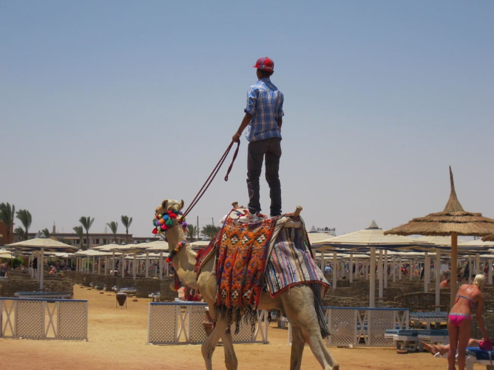 Пляж Pickalbatros Alf Leila Wa Leila Resort - Neverland Hurghada