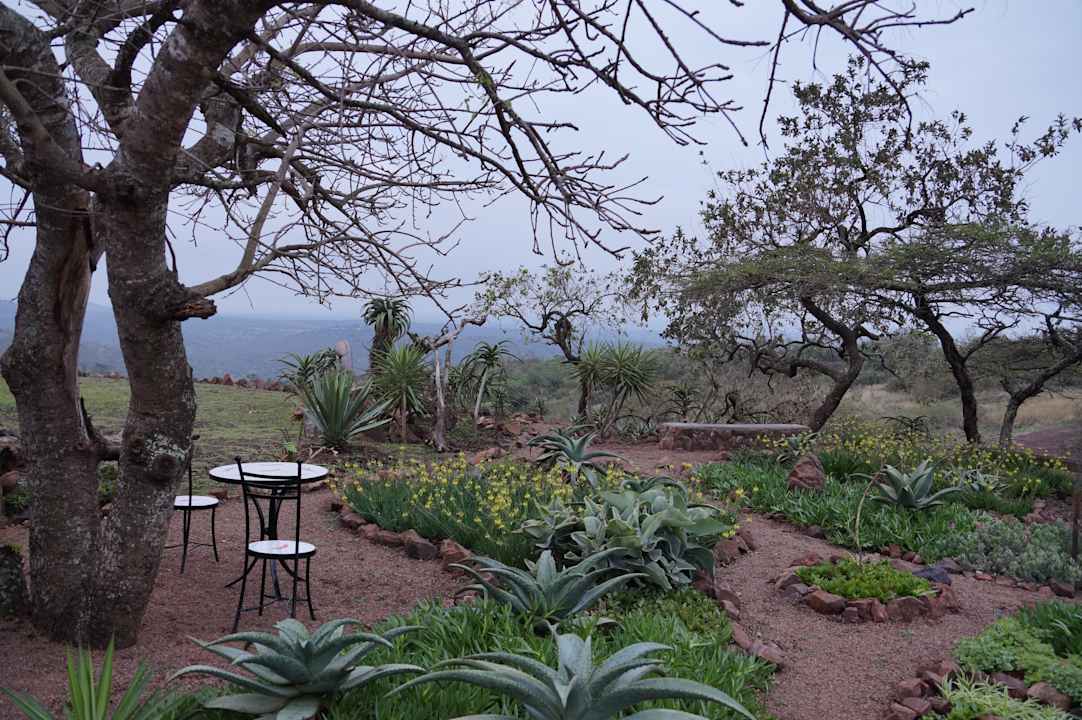 Gartenanlage Hotel Zulu Nyala Game Lodge