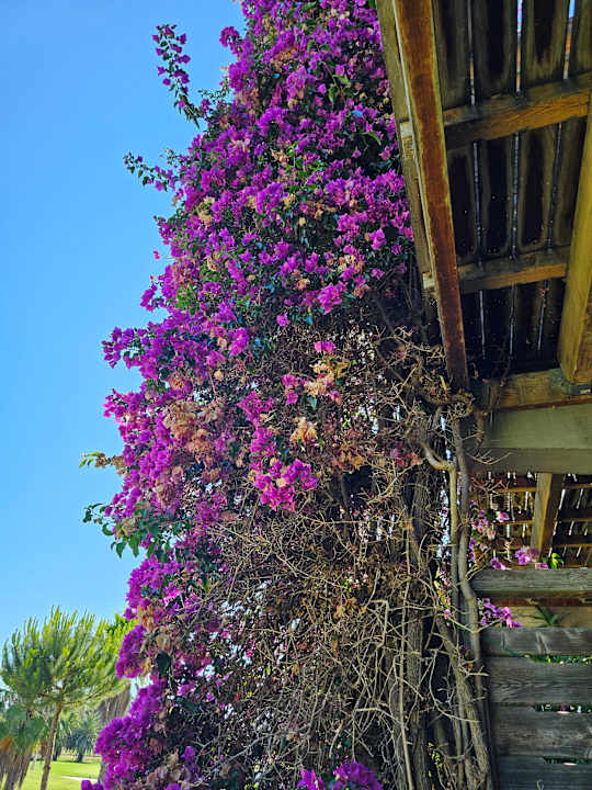 Außenansicht ROBINSON QUINTA DA RIA