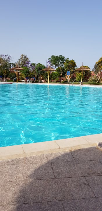 Pool Pickalbatros Jungle Aqua Park Resort - Neverland Hurghada