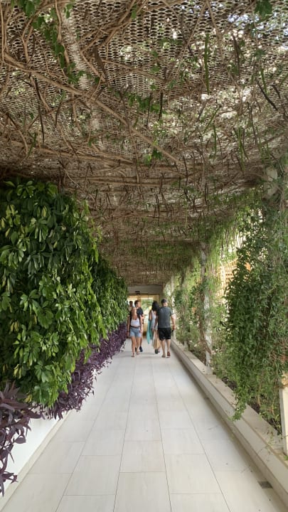 Ausblick Iberostar Selection Playa de Palma