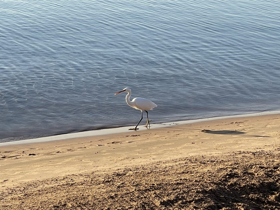Strand Sentido Caribbean World Soma Bay