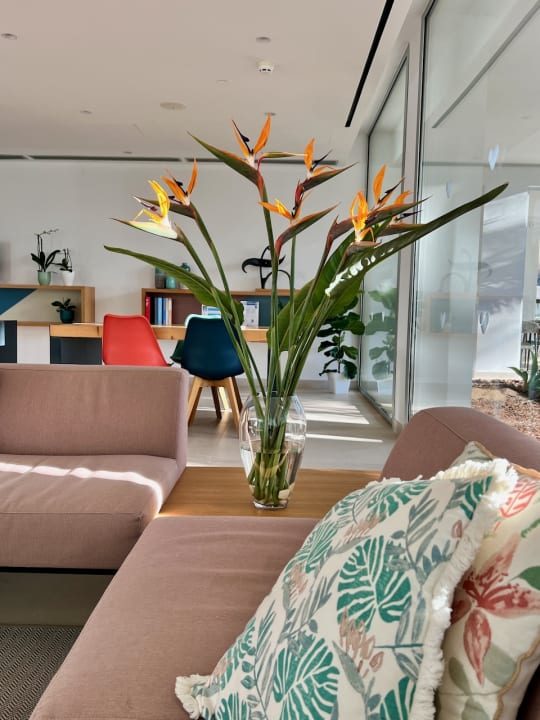 Lobby Diamant Hotel & Aparthotel