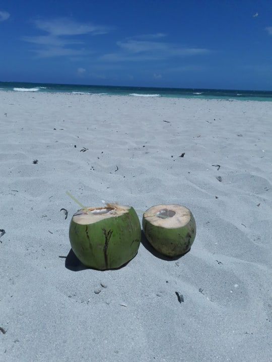 Strand Iberostar Origin Playa Alameda