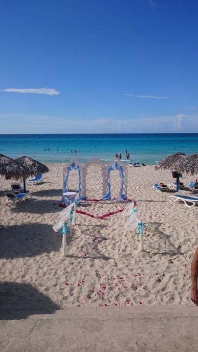 Strand Starfish Cuatro Palmas