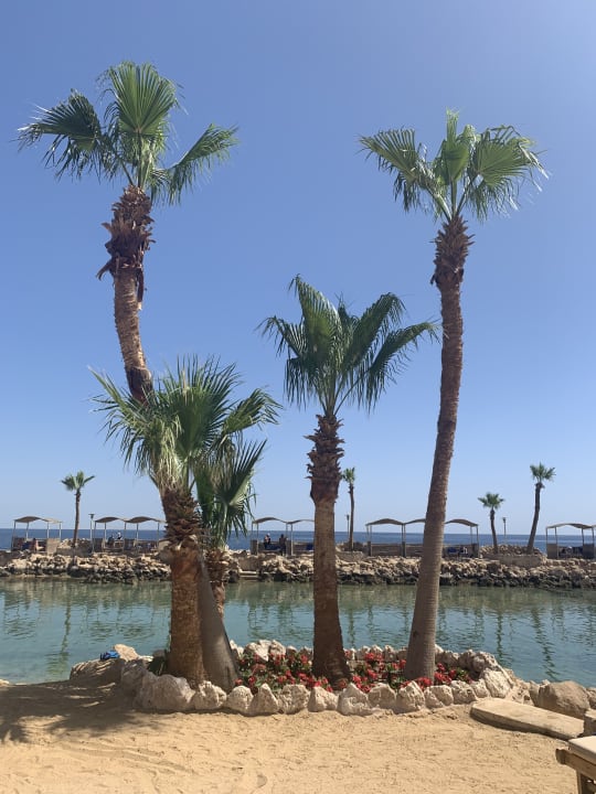 Strand Pickalbatros Citadel Resort