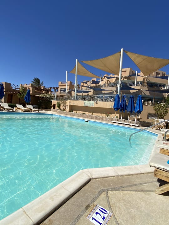 Pool Shams Prestige Abu Soma-Adults Only