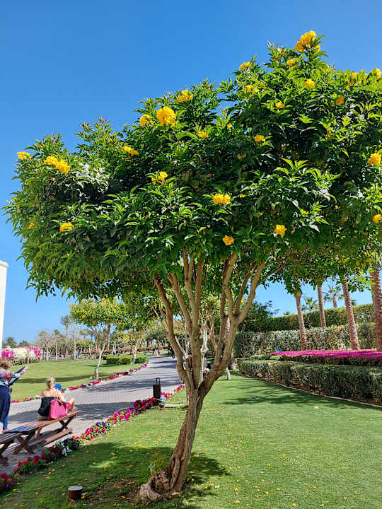 Außenansicht Steigenberger Aqua Magic