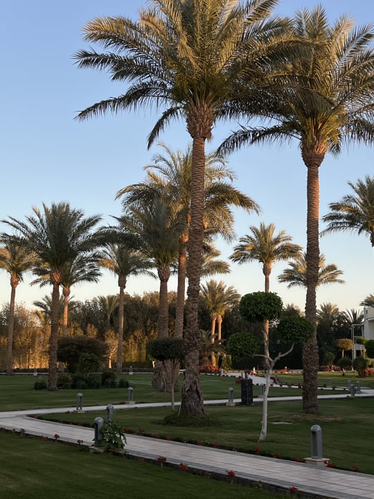 Gartenanlage Pickalbatros Dana Beach Resort - Hurghada