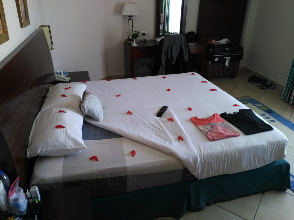 Zimmer Amwaj Beach Club Abu Soma Resort