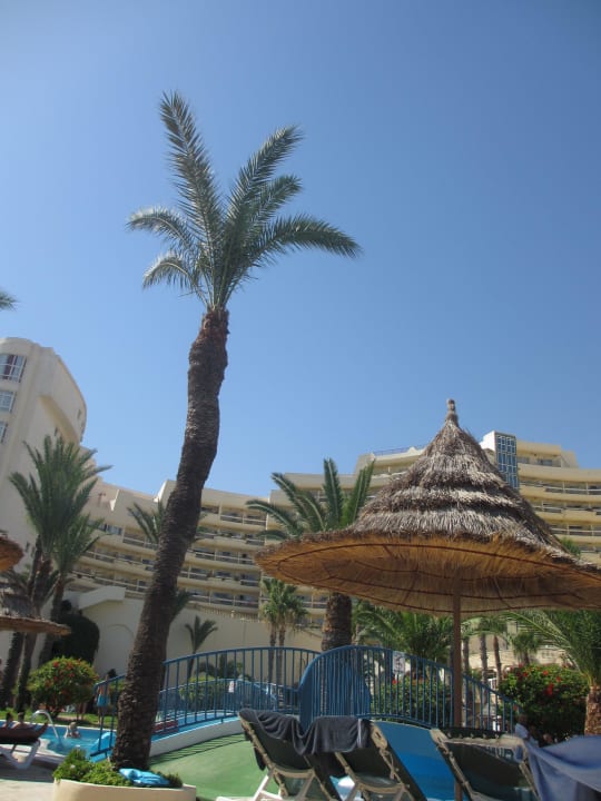 Pool Riadh Palms Resort & Spa