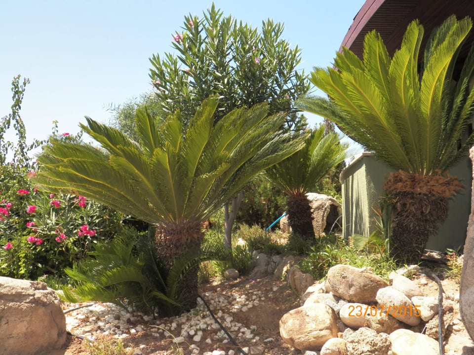 VON Resort Golden Coast VONRESORT Golden Coast