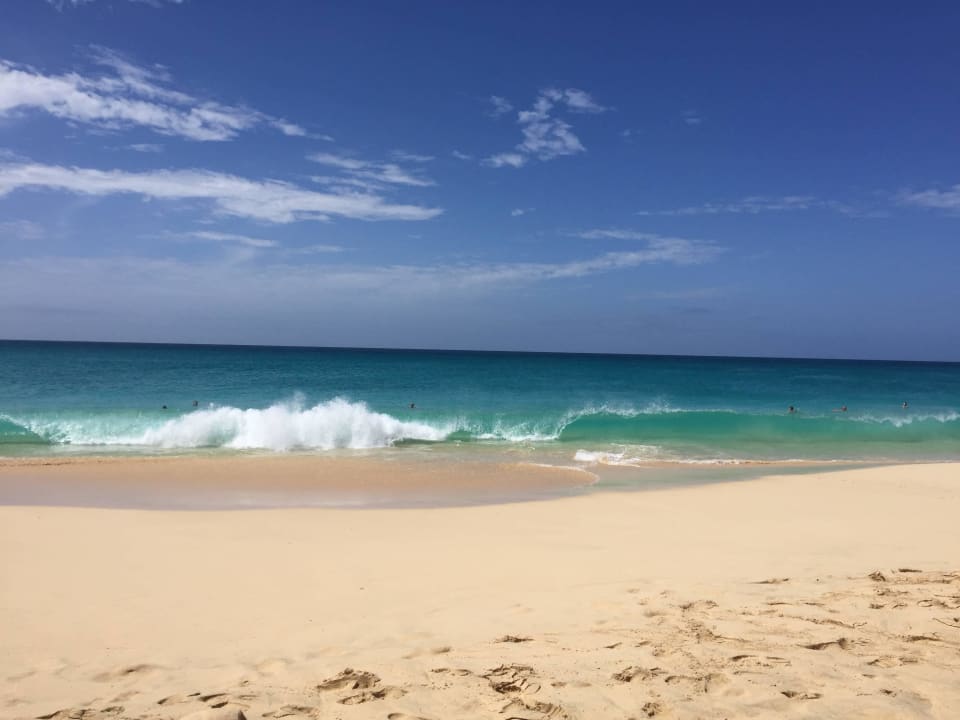 Ein Traum Hotel Riu Touareg