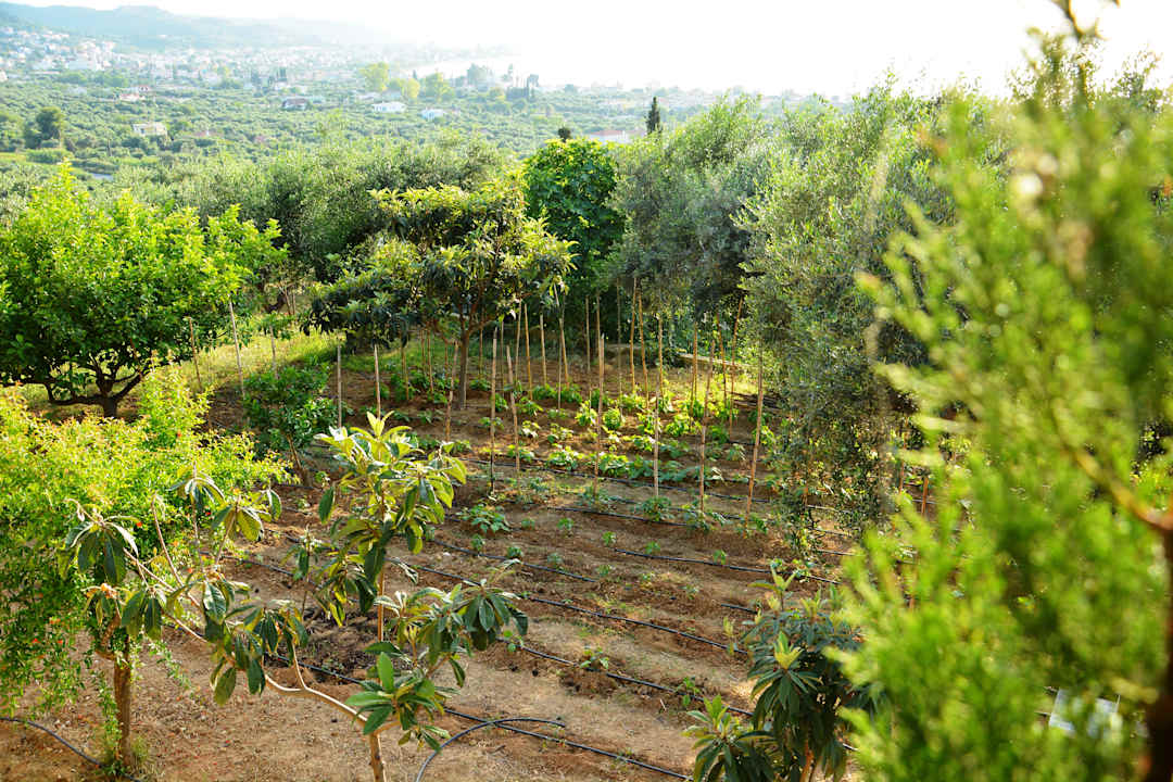 Gartenanlage Sea View Villa with 4 bedrooms - grECOrama