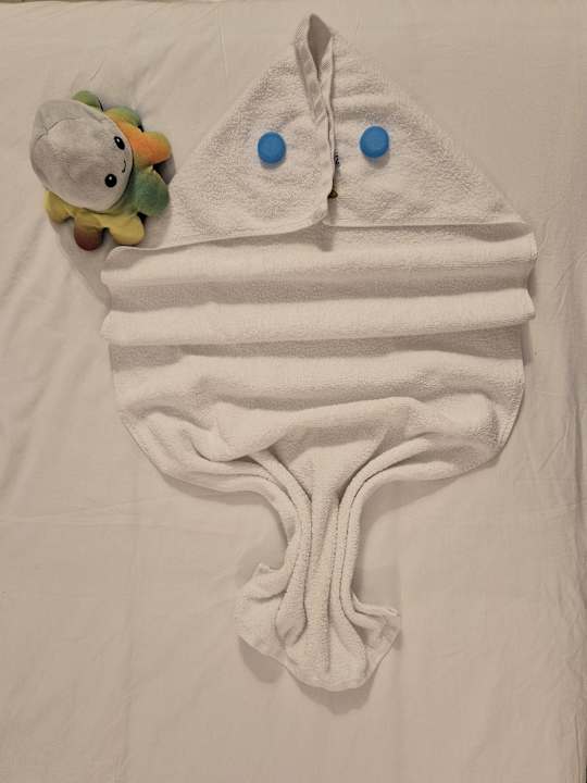 Zimmer JAZ Elite Asteria