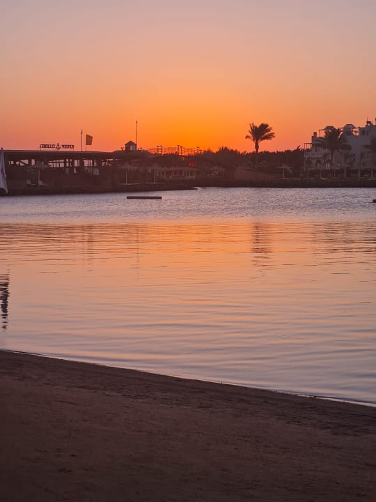 Ausblick Desert Rose
