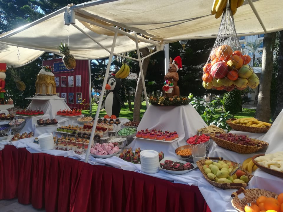 Gartenanlage Hotel Delphin Imperial