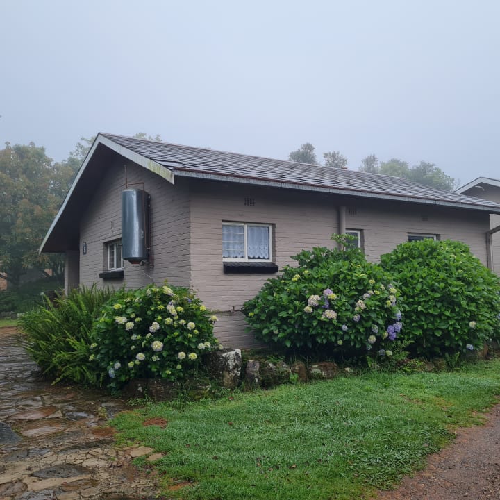 Zimmer Misty Mountain Lodge