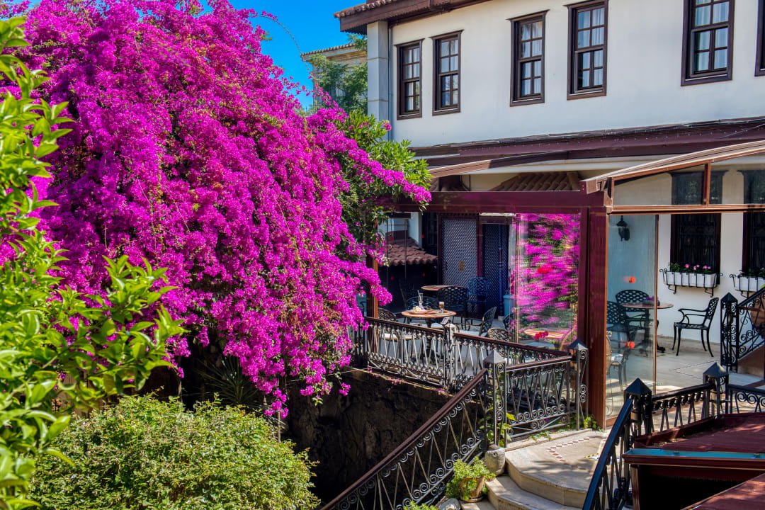Gartenanlage Dogan Hotel by Prana Hotels & Resorts