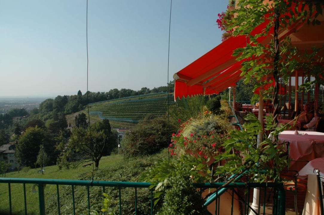 Panorama Mercure Mercure Hotel Panorama Freiburg