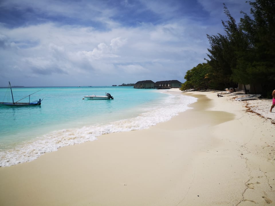 Strand Summer Island Maldives